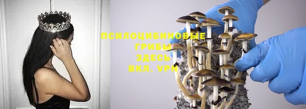 тгк Вязники