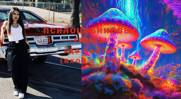 тгк Вязники