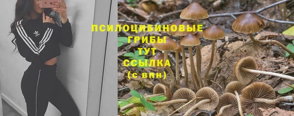 соль ск Вязьма