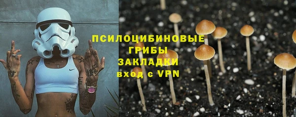 соль ск Вязьма